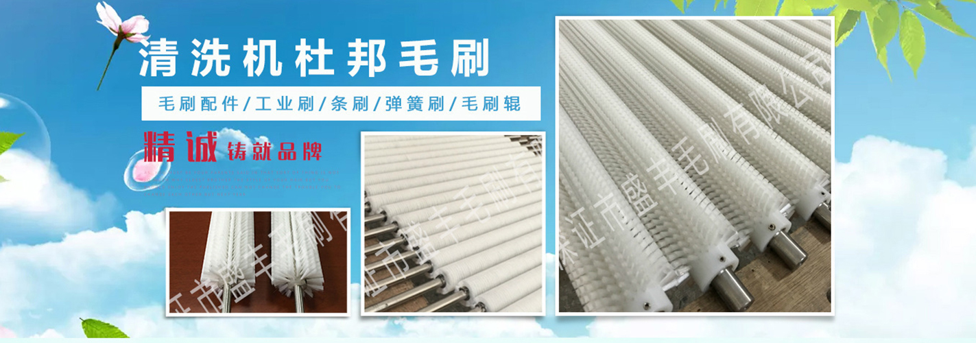 德盛鑫隆清洗機(jī)杜邦毛刷